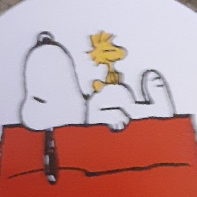 Sunnyandbright2's profile picture. Incredulous.  At least if I have to live here, I'm in Minnesota.  For so many reasons.