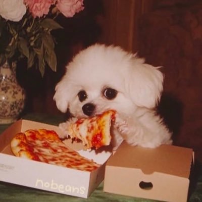 @go_itzo