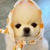 큥럭키 (ノ ' ㅅ')ノ~♡ (@bh_lucky_0506) Twitter profile photo