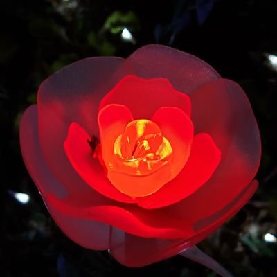 いとうつほ。さんのプロフィール画像