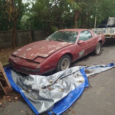 Vic328479's profile picture. 