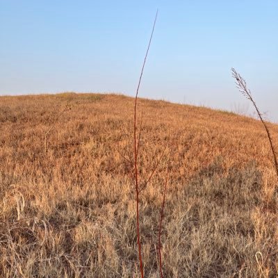 JLiang26182's profile picture. 