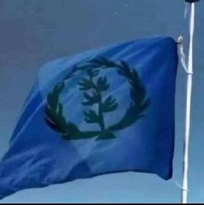 abrham_brhana's profile picture. 