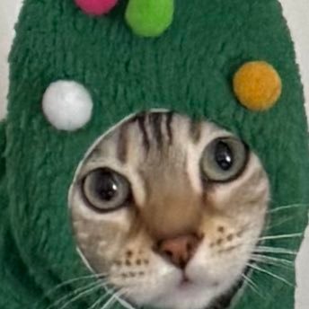 lolsdotsol's profile picture. I dabble in jpegs and alcohol.