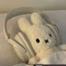 mousey ᘛ⁐̤ᕐᐷ (@hiblscus) Twitter profile photo mousey ᘛ⁐̤ᕐᐷ (@hiblscus) Twitter profile photo