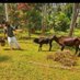 ROHITH RAJENDRAN.P 🇮🇳🚩🙏 (@rohithrajendran) Twitter profile photo ROHITH RAJENDRAN.P 🇮🇳🚩🙏 (@rohithrajendran) Twitter profile photo