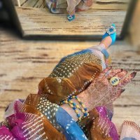 maha mohamed elameen (@elameenmah) 's Twitter Profile Photo