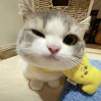 moi (@miawmoi_) 's Twitter Profile