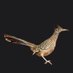 Fast Bird (@raniere) Twitter profile photo Fast Bird (@raniere) Twitter profile photo