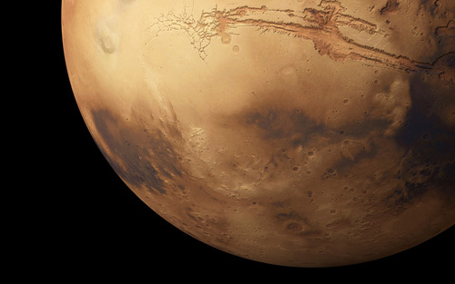 CarloFallaci's profile picture. 