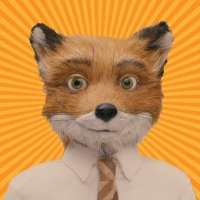 Jace Carter | UX UI (@jacespidoodle) 's Twitter Profile