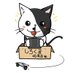 しろくま玩具店 (@shirokumagangu) Twitter profile photo しろくま玩具店 (@shirokumagangu) Twitter profile photo
