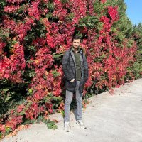|Yusuf Talha| ¹⁹⁰⁷💛💙 (@josephfb) 's Twitter Profile
