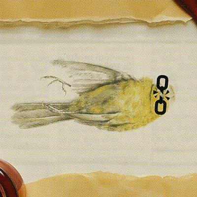 Phantom_Green's profile picture. SonnyBone: Game developer, musician, artist, former rassler, current skeleton. Dead. Bone Verified.