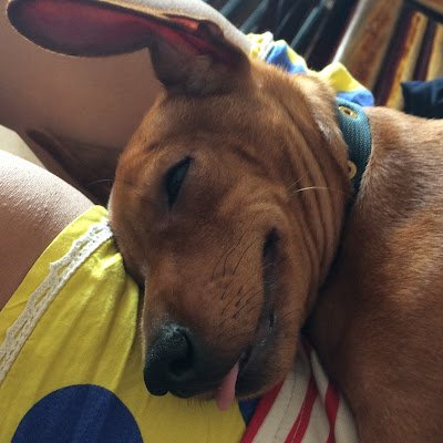 CongNguyen8386's profile picture.