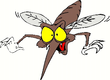 Outer Banks Skeeter Beater #NODEET #Mosquito Repellent. Made from All #Natural flower oils and safe for all family members and pets.