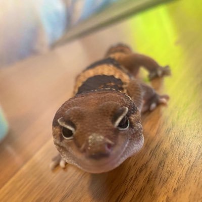 イッタラ村