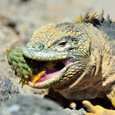 nov28___'s profile picture. 