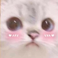 Luna (@luna_kig) 's Twitter Profile Photo Luna (@luna_kig) 's Twitter Profile Photo