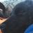 ikaika_PhD's profile image