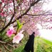 Fatemeh Kahali (@kahalifatemeh) Twitter profile photo Fatemeh Kahali (@kahalifatemeh) Twitter profile photo