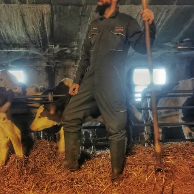 🇫🇷🐷🐶🏳️🌈🔞
⚠️💩SCAT content -
Masculine hairy french obedient pig
Looking for Alpha pervs
⛔chems
-
only personal videos of myself, do not copy them