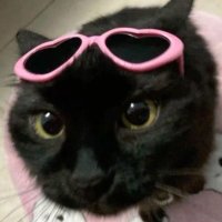 zeek (@77zeek) 's Twitter Profile Photo