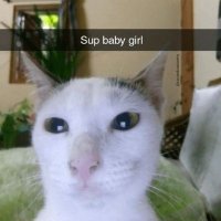 BossOfSauce (@bossoflasauce) 's Twitter Profile