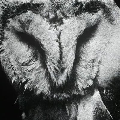 fucktdepression's profile picture. .