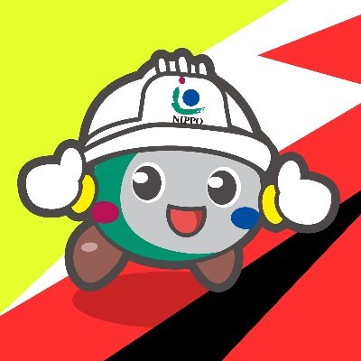 Team NIPPO Profile