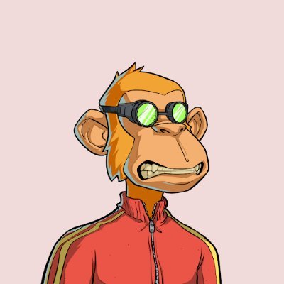 Risk Manager | Community Organizer | Tech Enthusiast | Memecoin Collector.