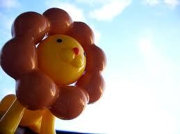 yugkie's profile picture. 国際信州大学5南西