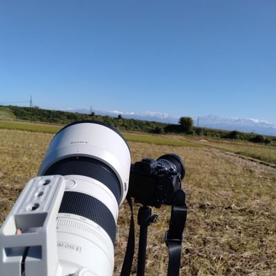最近、鉄道好きになったビギナー鉄道ファンです!無言フォロー失礼します、勉強させてもらいます!ミーハーですがJRが好きです!
旅行も好きです
台湾も好きです🇹🇼