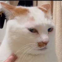 大砭🔞 (@bullpu666) 's Twitter Profile Photo 大砭🔞 (@bullpu666) 's Twitter Profile Photo