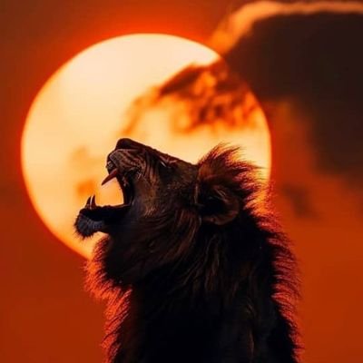 Quami_Beck94's profile picture. 