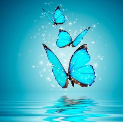 hai_1234hai's profile picture. 