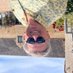 Rolf Horn (@rolfhorn) Twitter profile photo