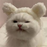 Dolce (@tartetatin0516) 's Twitter Profile