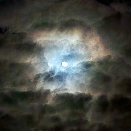 LeBaronMarc's profile picture. Papa foulosophe. Castmember at Disneyland Paris.