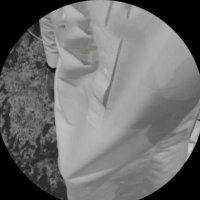 فحل صحار (@bnlwlyh2136141) Twitter profile photo