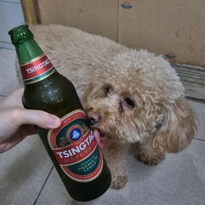 winonski's profile picture. ceo of turon