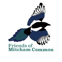 MitchamCommonFriends (@mitchamcommonf) 's Twitter Profile