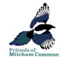 MitchamCommonF's profile picture. Friends of Mitcham Common society is open to anybody who shares our love of the Common and has an interest in maintaining its wildlife for future generations