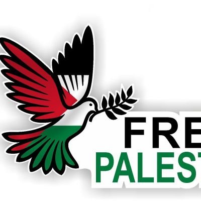 NaimaMoussai's profile picture. Consommatrice des romans à mes temps perdu