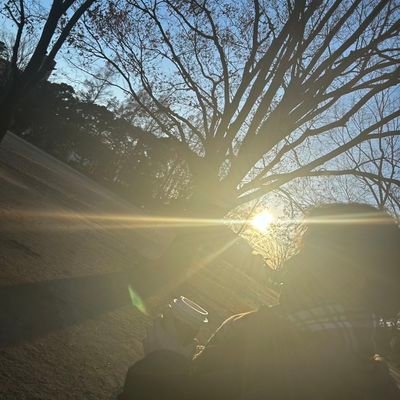 20代中盤
マチアプやってますがこちらでも緩く
固ツイにプロフ
DMは気軽にどうぞ〜
#X婚活
#Twitter婚活
G党です