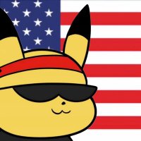 not_crypto_dog (@pika_on_sol) 's Twitter Profile