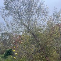 Ben M. Over (@daywalker8888) 's Twitter Profile