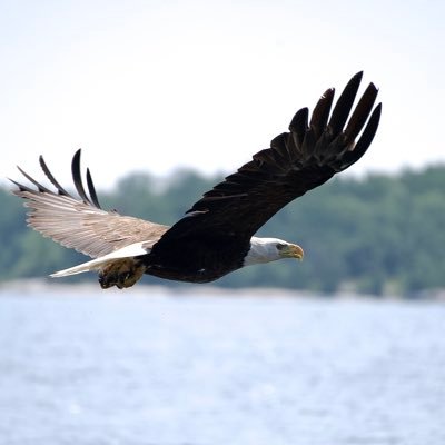 WI talk show host. Right-wing hippie. Catholic/ProLife/ProMen/ProDog/PitBulls/2A. Views here are mine alone. I would always rather be fishing.