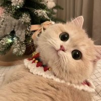 you&me (@cupcakesiam) 's Twitter Profile