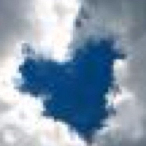 radf789's profile picture. 